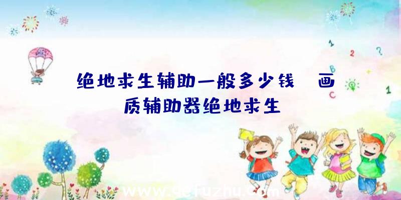 「绝地求生辅助一般多少钱」|画质辅助器绝地求生